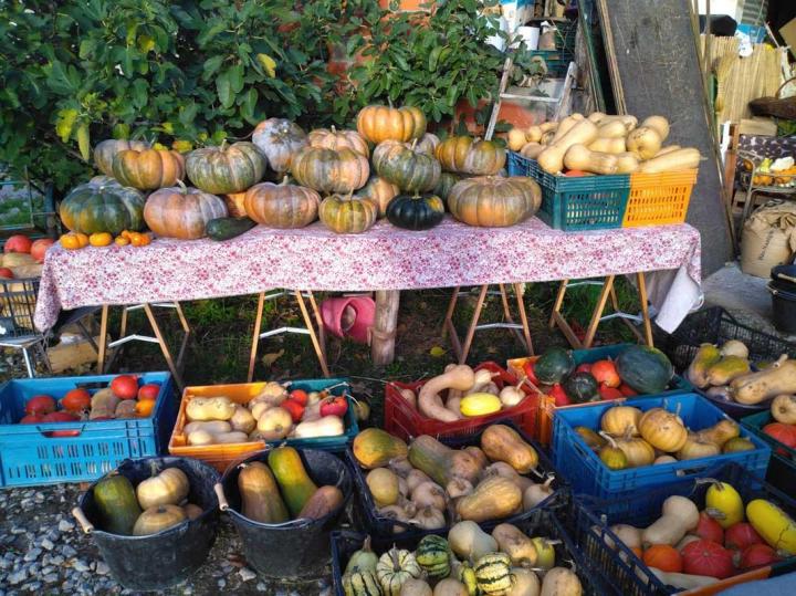 Vente de légumes, Limoges
