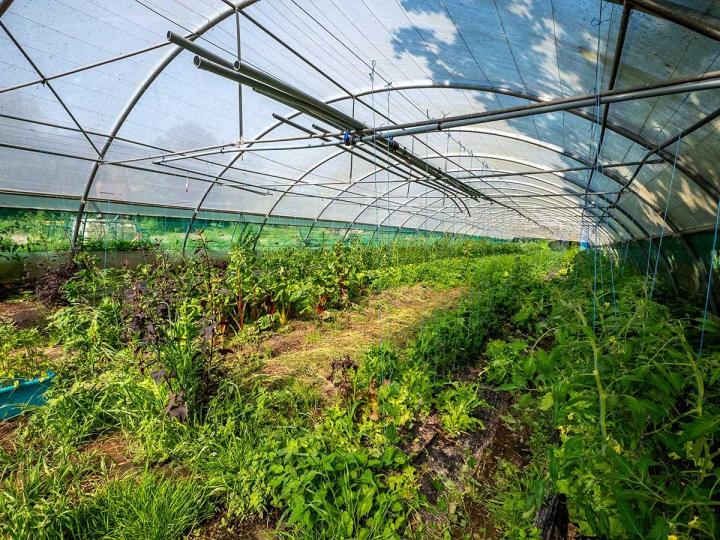 Vente de légumes Guéret