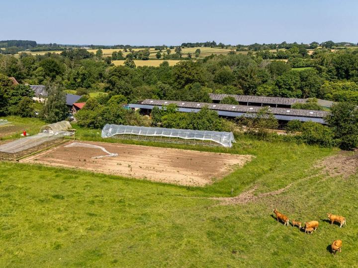 Vente de légumes locaux Guéret