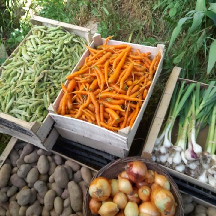 Vente de légumes, Méasnes